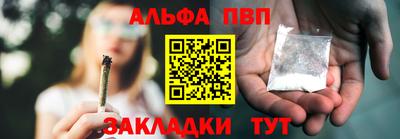 Альфа ПВП Ярославль