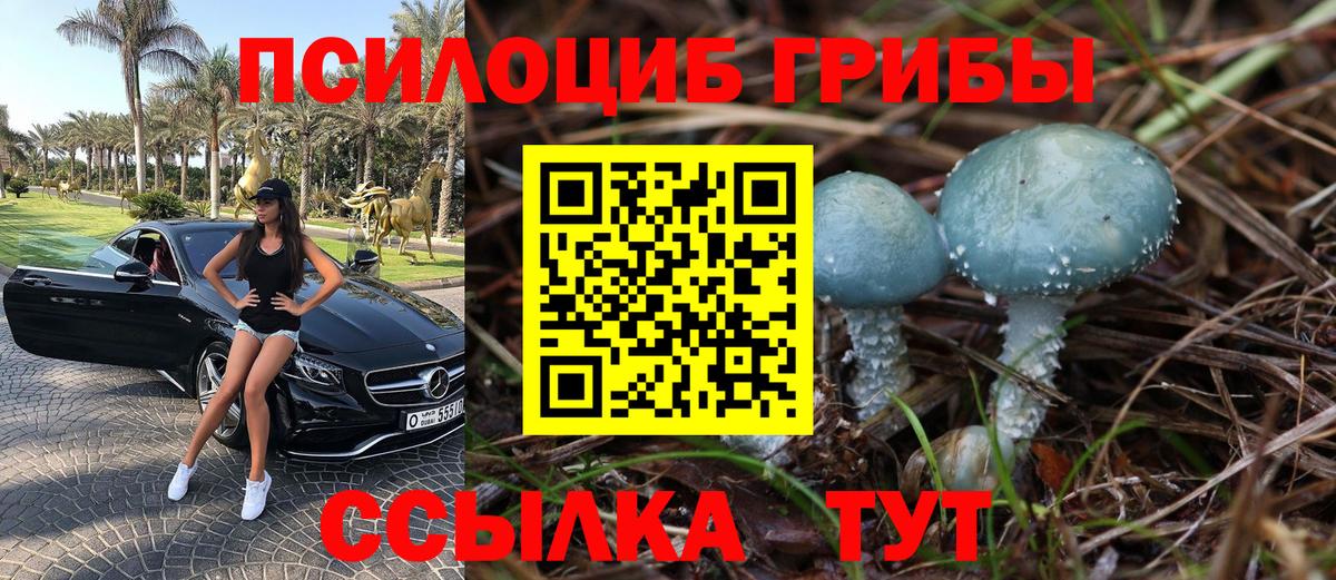 Галлюциногенные грибы мухоморы  Вход с VPN  Магнитогорск 