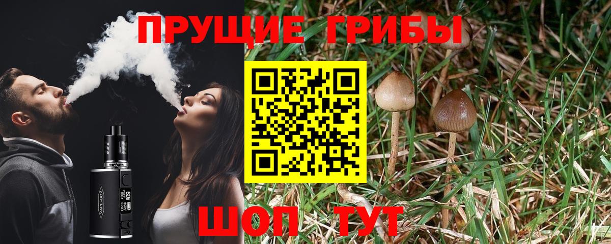 Псилоцибиновые грибы Cubensis Магнитогорск